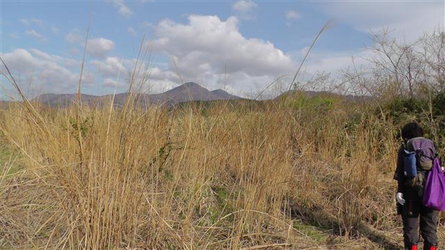 a0127015_631098.jpg