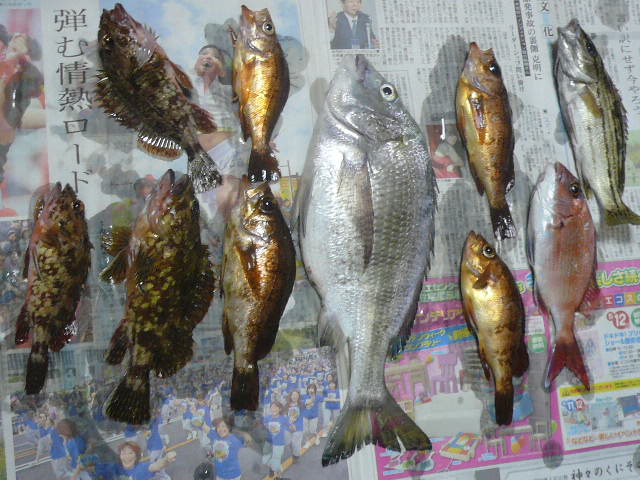 e0026017_9543977.jpg