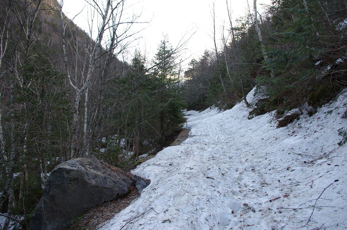 b0062024_19375530.jpg