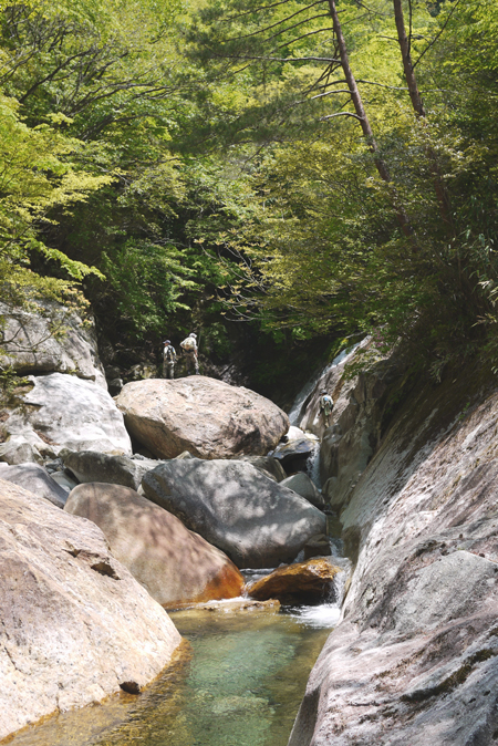 e0200926_12341812.jpg