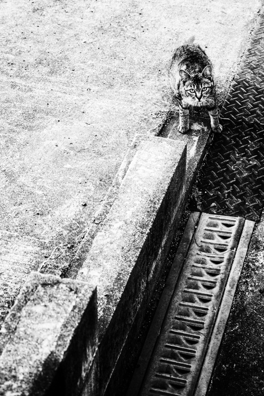 c0198227_2355892.jpg
