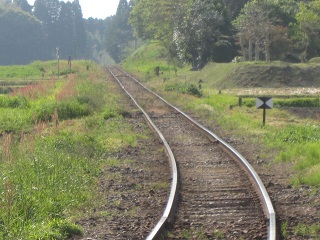 c0051529_0163074.jpg