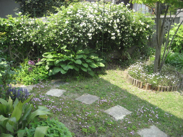 b0166435_21275881.jpg