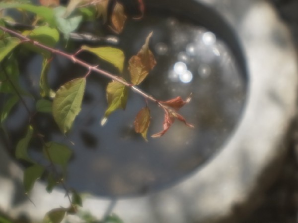 c0125735_14453453.jpg