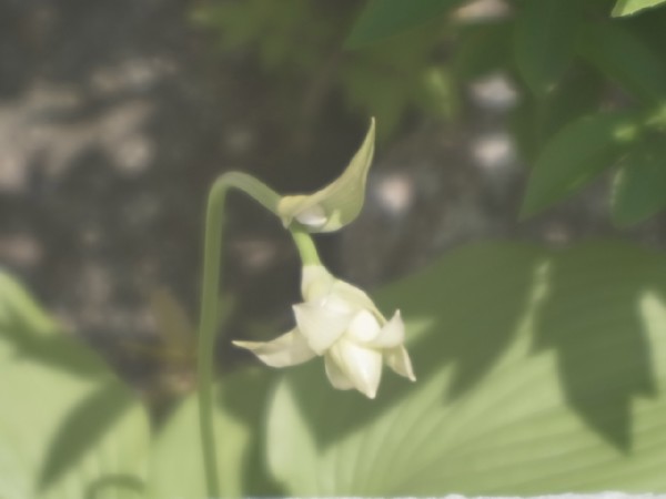 c0125735_14492427.jpg