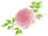 d0043737_829281.gif