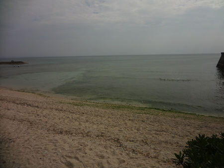 e0260937_1085643.jpg