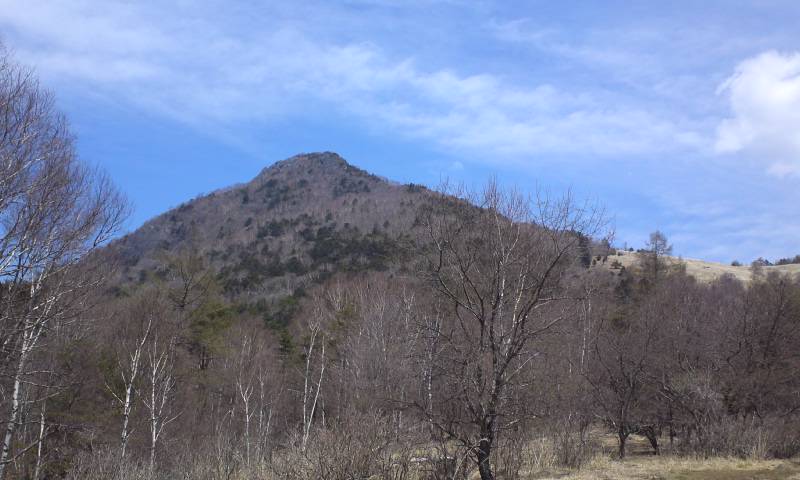 d0107938_12383938.jpg