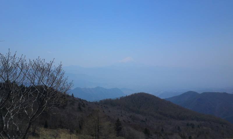 d0107938_12415825.jpg
