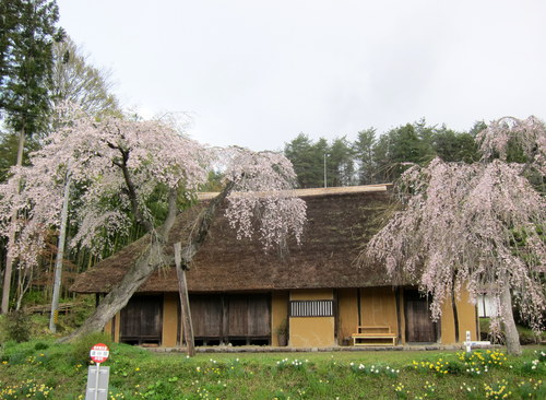 b0178339_13511268.jpg