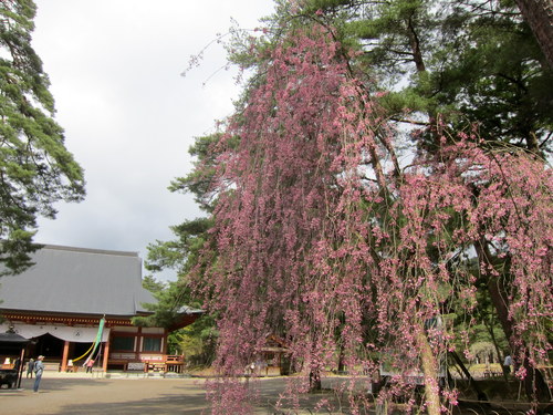b0178339_13544449.jpg