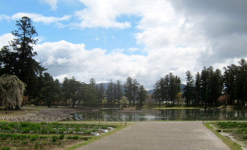 b0178339_13575467.jpg