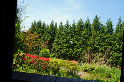 a0135840_11335125.jpg
