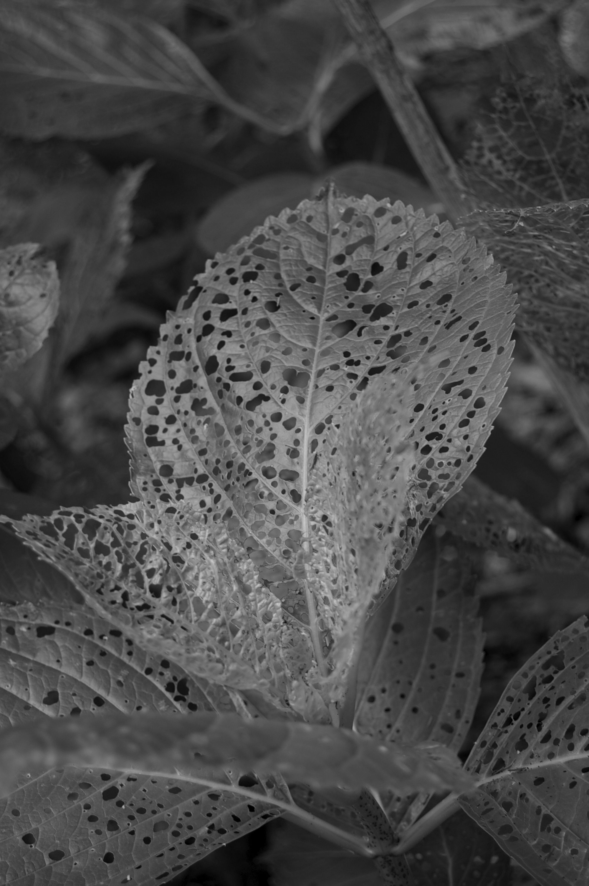c0282942_1742454.jpg