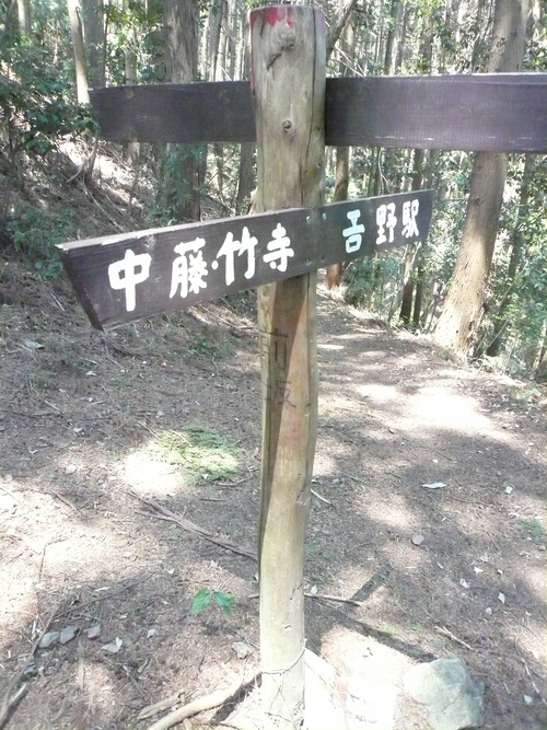 b0170644_23103689.jpg