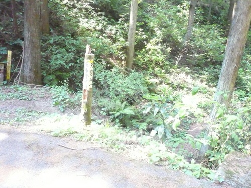 b0170644_2332637.jpg