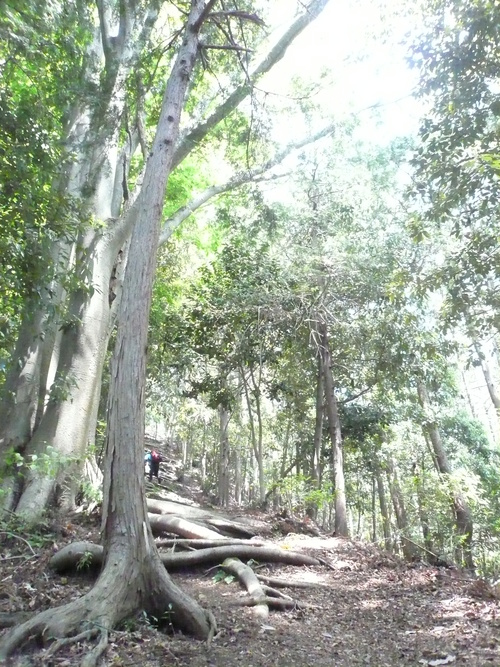 b0170644_238128.jpg