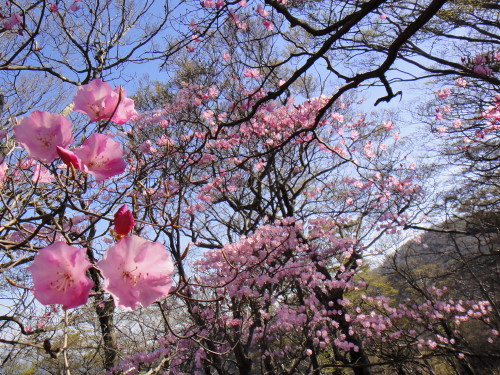 c0179351_1010758.jpg