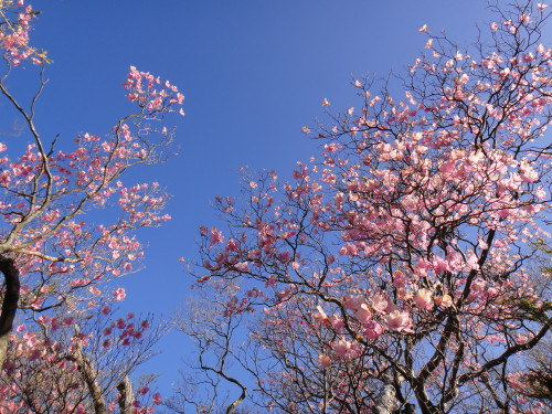 c0179351_1015062.jpg