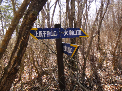 c0179351_1017110.jpg