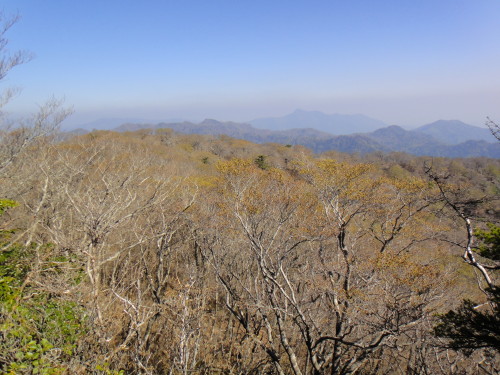 c0179351_10185184.jpg