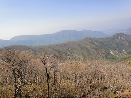 c0179351_10214134.jpg