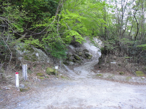 c0179351_105161.jpg