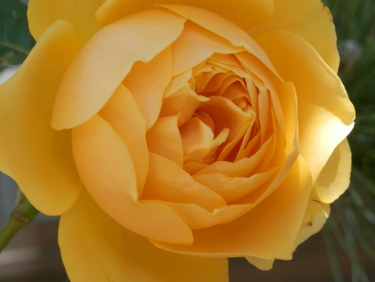 e0288951_145342100.jpg