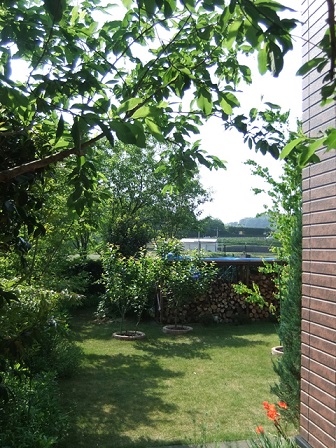 b0192953_11121846.jpg