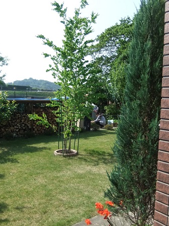 b0192953_11124410.jpg