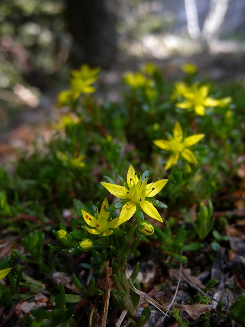 b0104861_2262444.jpg