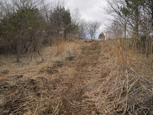 c0198263_20493965.jpg