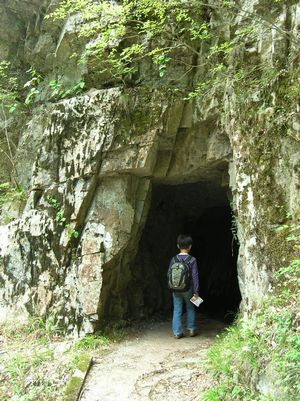 f0131263_1339557.jpg