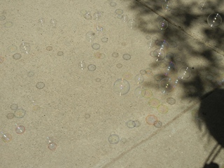 a0118264_840413.jpg