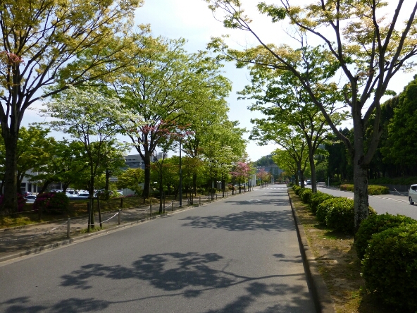 d0282264_125406.jpg