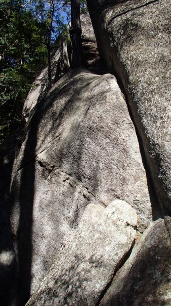 b0050067_232275.jpg