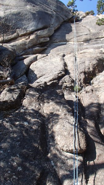 b0050067_23322878.jpg