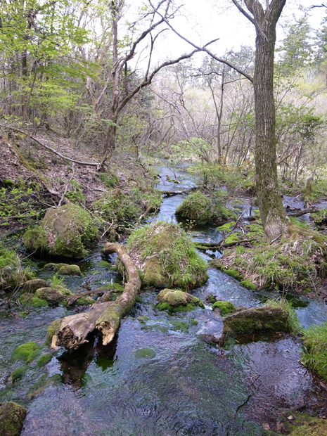 d0109568_19181074.jpg