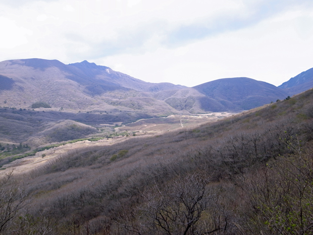 d0109568_19254540.jpg