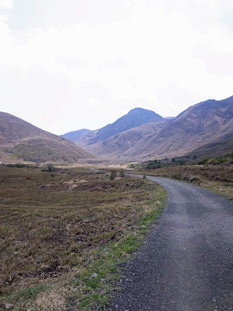 d0109568_1932864.jpg