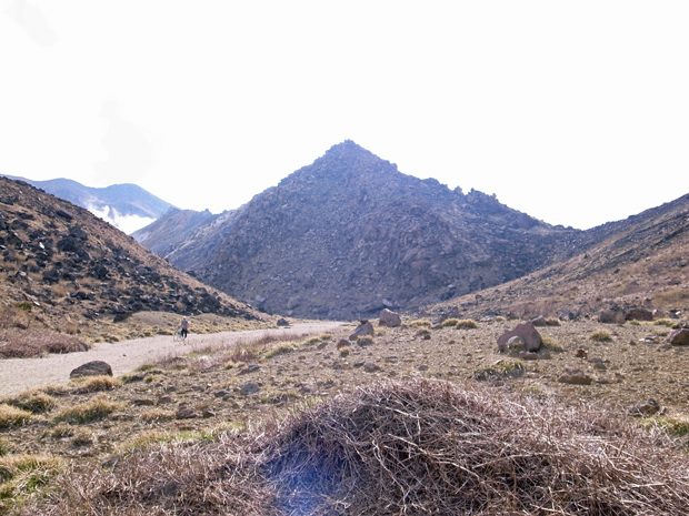 d0109568_19515246.jpg
