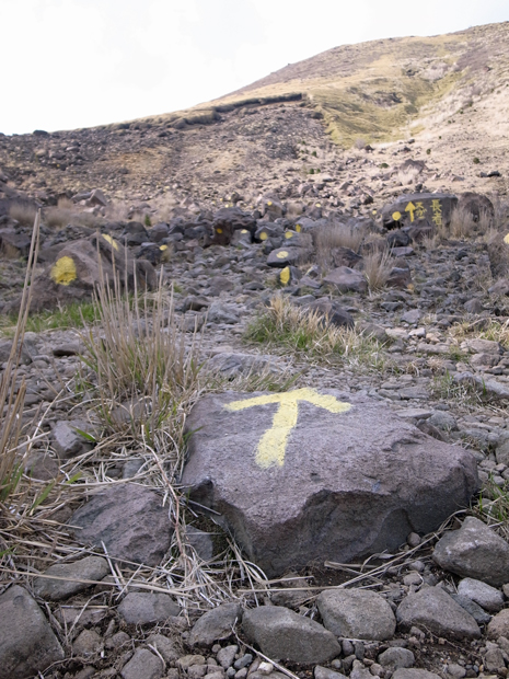 d0109568_22194447.jpg