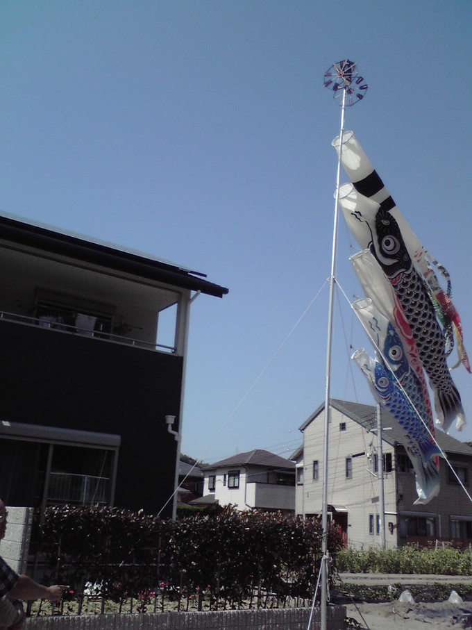 c0011169_832581.jpg