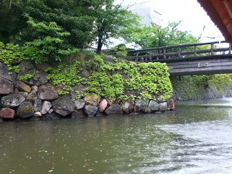 c0053571_195842.jpg