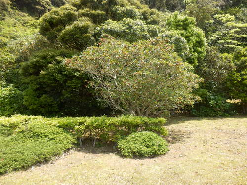 e0292172_20434033.jpg