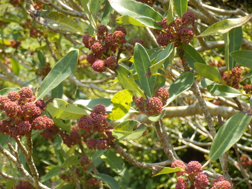 e0292172_2055848.jpg