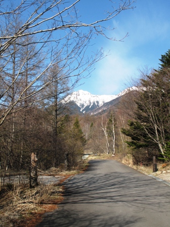 a0077673_226194.jpg