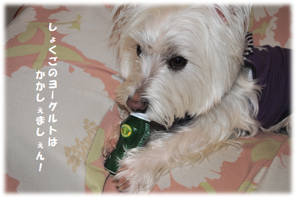 b0242873_14403292.png