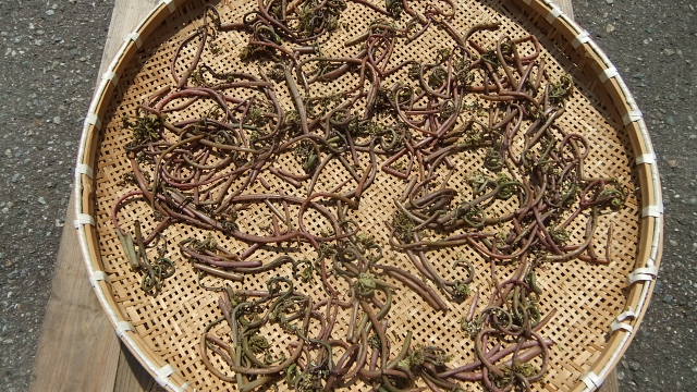 c0022275_1552529.jpg