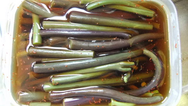 c0022275_1575255.jpg